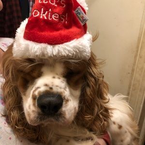 Meet your Posher, Ronnie